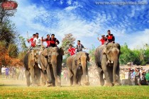 Buôn Ma Thuột - Đắk Lắk – Vùng đất huyền thoại của voi – The Legendary elephant land
