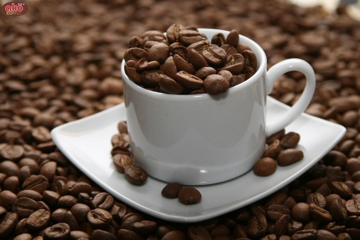 Cà phê akŏ coffee arabica hạt rang